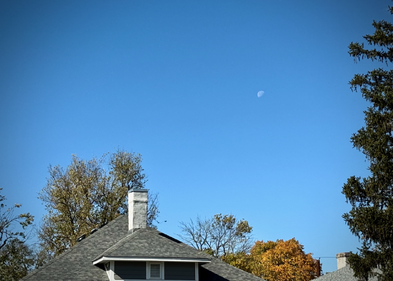 Featured image of post Noon Fall Moon